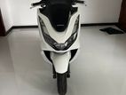 Honda PCX 160 2024