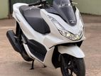 Honda PCX 160 2024