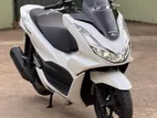 Honda PCX 160 2024
