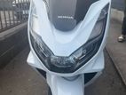 Honda PCX 160 2024