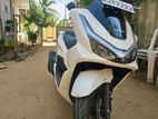 Honda PCX 160 2025