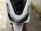 Honda PCX 160 2025