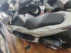 Honda PCX 160 2025
