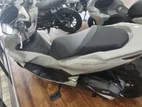 Honda PCX 160 2025