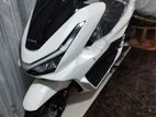 Honda PCX 160 2025