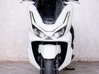 Honda PCX 160 2025
