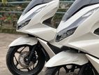 Honda PCX 2024