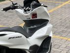 Honda PCX 160 2024