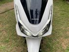 Honda PCX 160 2025