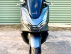 Honda PCX 160cc 2023