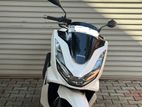 Honda PCX 160cc 2023