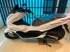 Honda PCX 160cc 2023