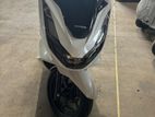 Honda PCX 2024