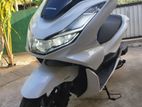 Honda PCX 2024