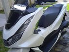 Honda PCX 160cc 2024