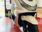 Honda PCX 160cc 2024