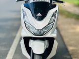 Honda PCX 2024