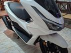 Honda PCX 160 2025