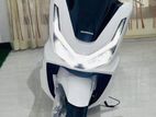 Honda PCX 160 2025