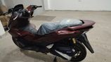 Honda PCX 160CC 2025