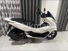 Honda PCX 160 2025