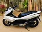 Honda PCX 2015