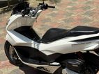 Honda PCX 2017