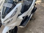 Honda PCX 2020 Angel Light