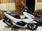 Honda PCX 2020