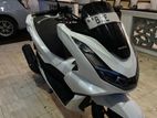 Honda PCX 2023 125 2021