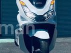 Honda PCX 2024 160