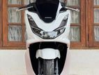 Honda PCX 2024 160