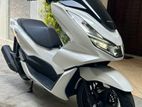 Honda PCX 2024