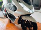 Honda PCX 2024