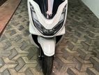 Honda PCX 2024