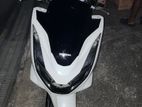 Honda PCX 2024