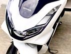 Honda PCX 2024