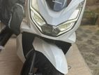 Honda PCX 2024