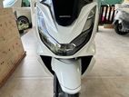 Honda PCX 2024