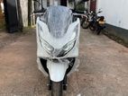 Honda PCX 2024