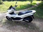 Honda PCX 2024