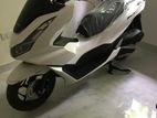 Honda PCX 2024