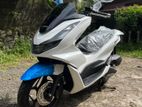 Honda PCX 2024