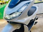 Honda PCX 2024