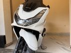 Honda PCX 2024