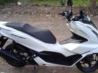 Honda PCX 2024