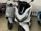 Honda PCX 2024