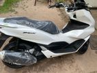 Honda PCX 2024