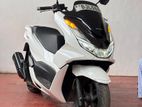 Honda PCX 2024