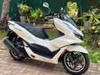 Honda PCX 2024